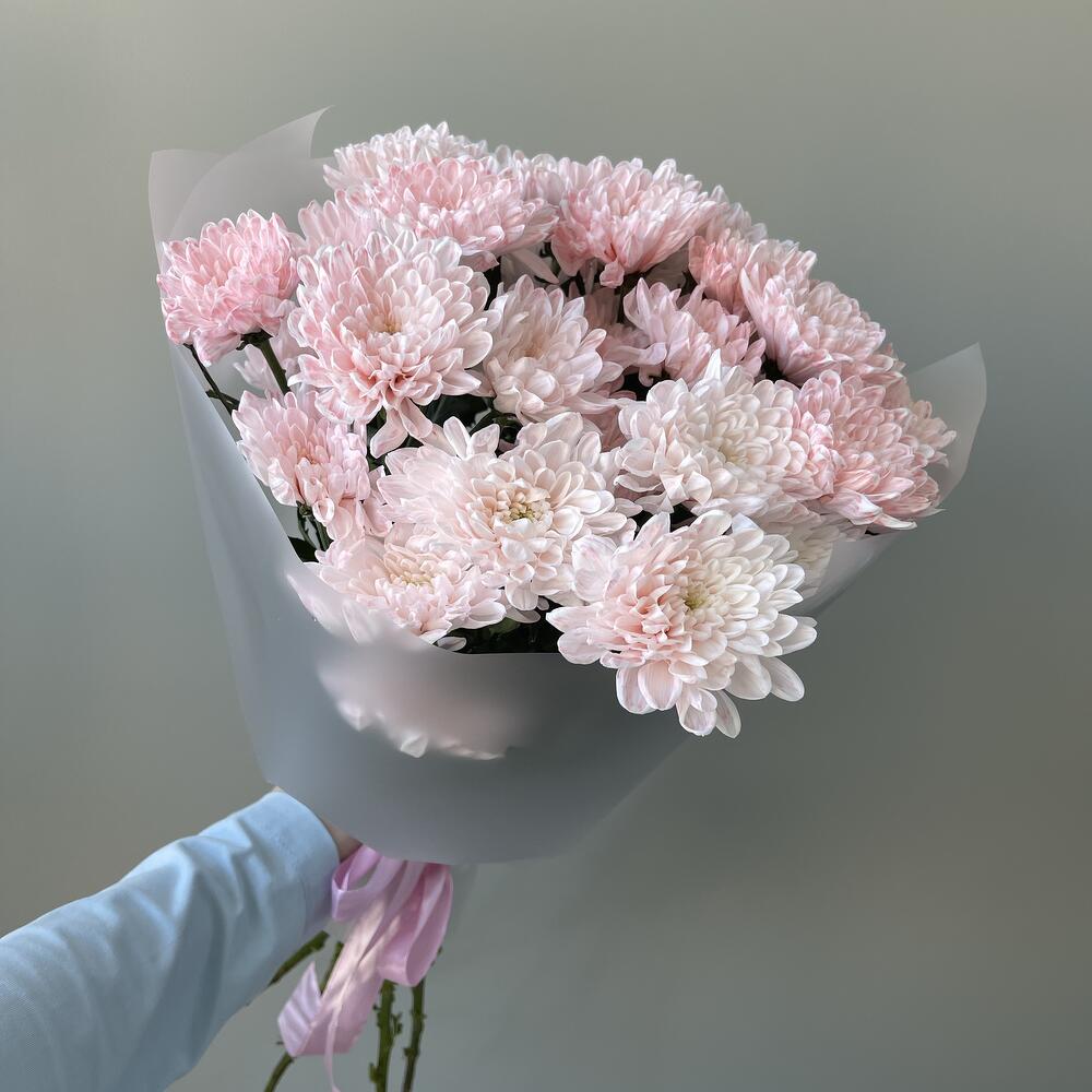 5 розовых хризантем