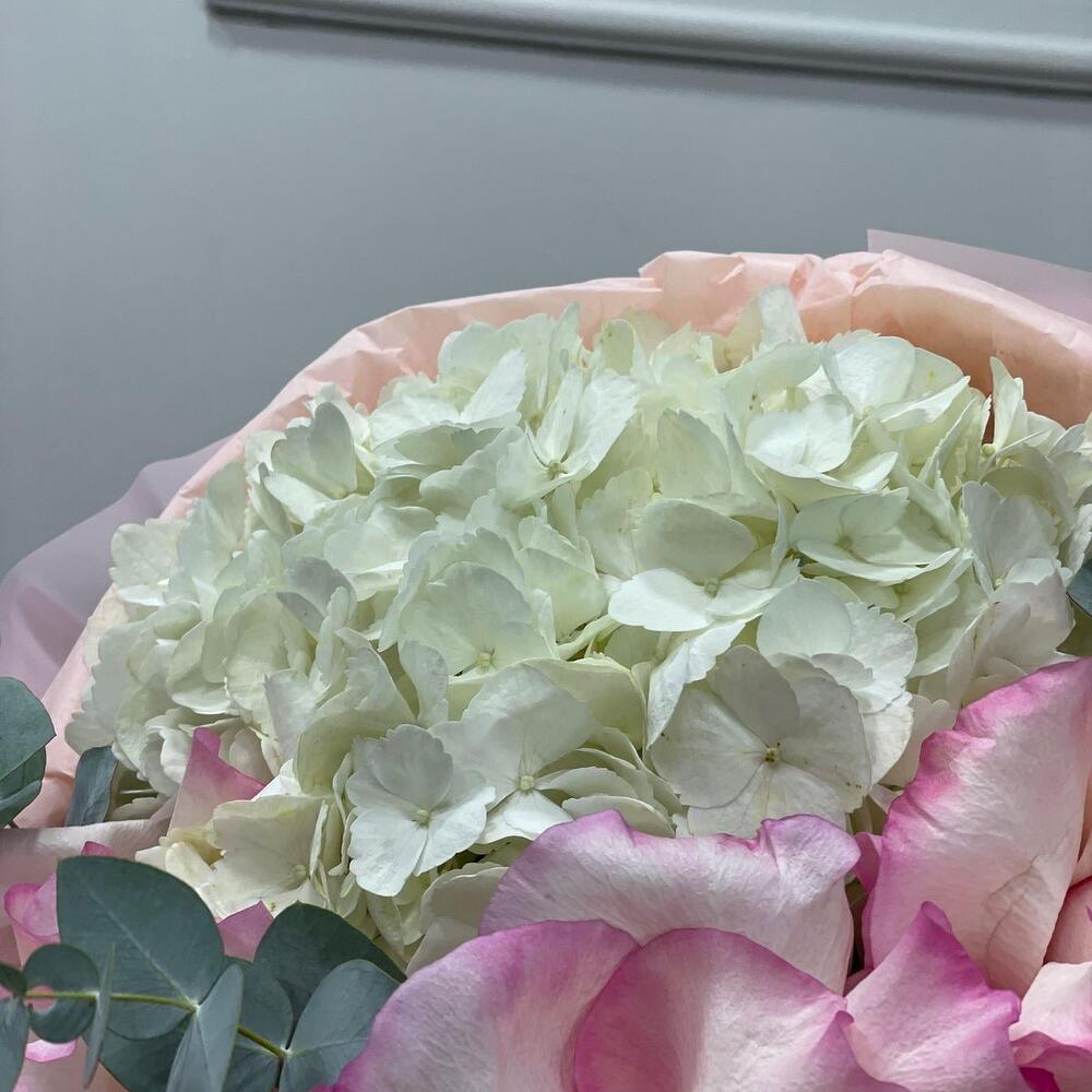 💗 Blush   Bloom