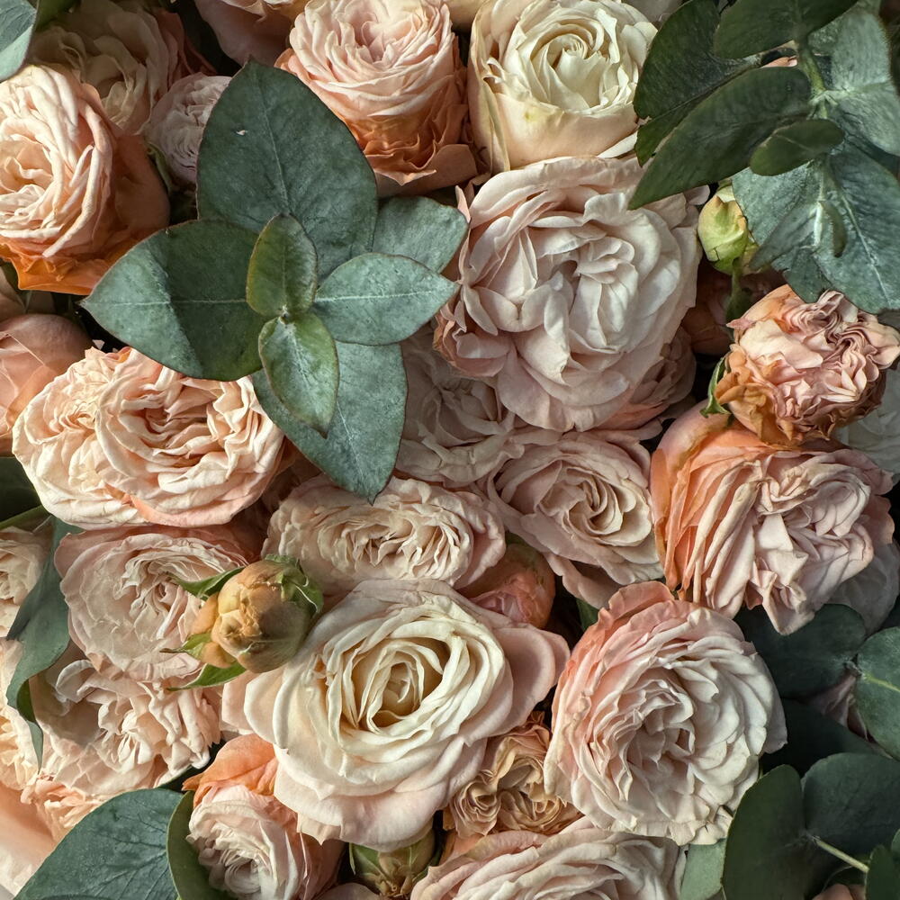Моно букет 💐 «Мадам» из пион роз с ароматным эвкалиптом 🍀