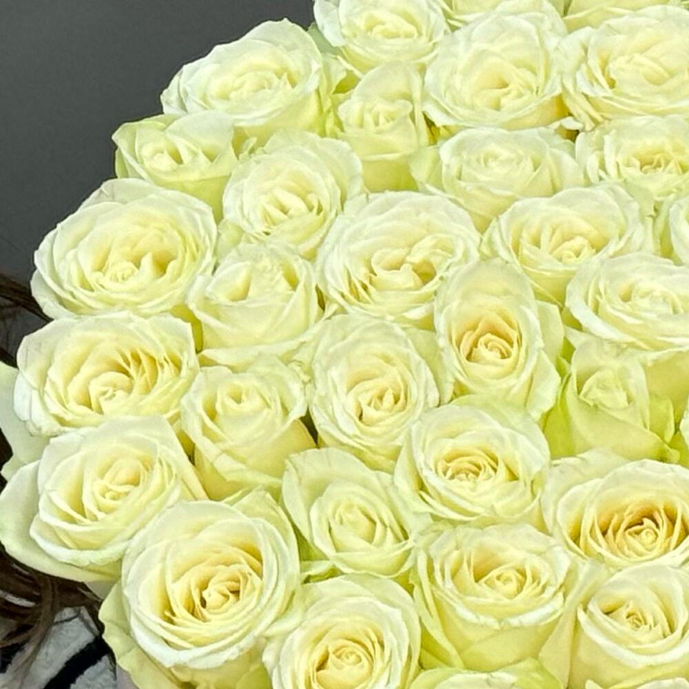 51 Роза в шляпной коробке