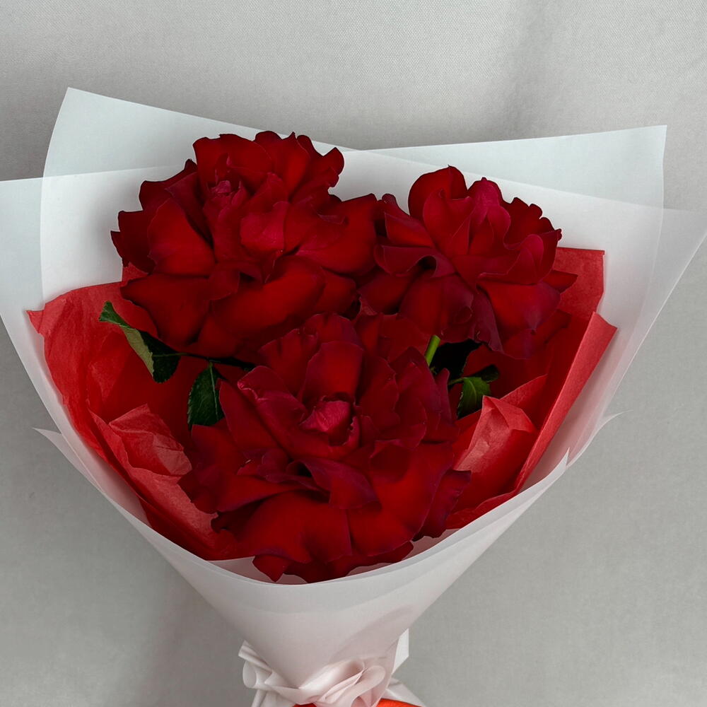 3 французские красные розы🌹