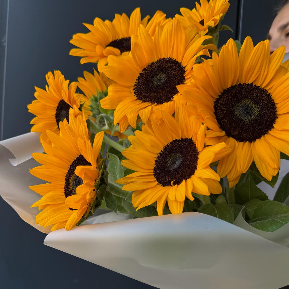 Sunflower 🌻