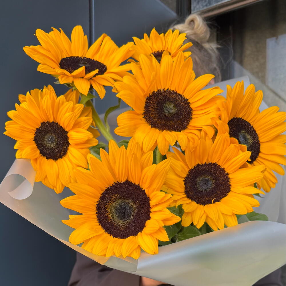 Sunflower 🌻