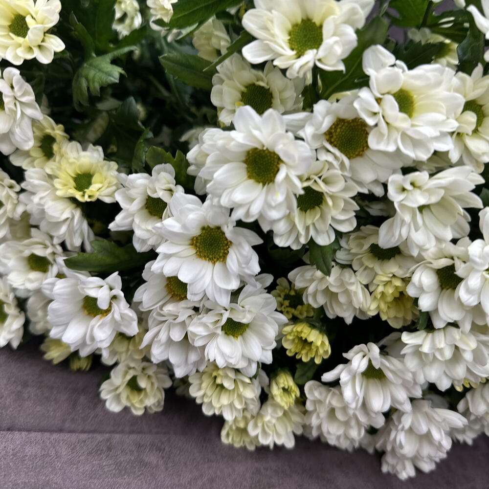 Сантини 19 шт