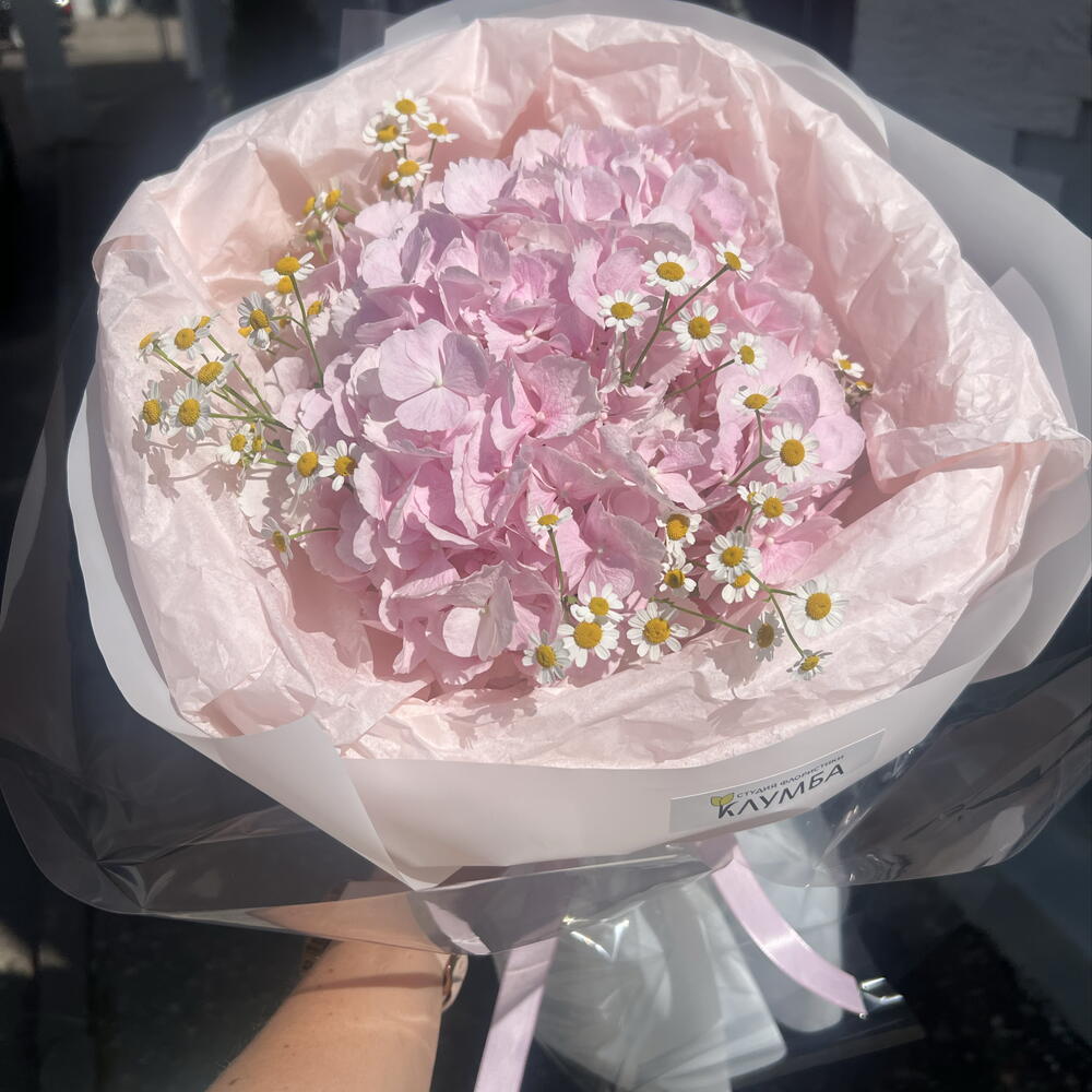 Букет Гортензия с ромашками