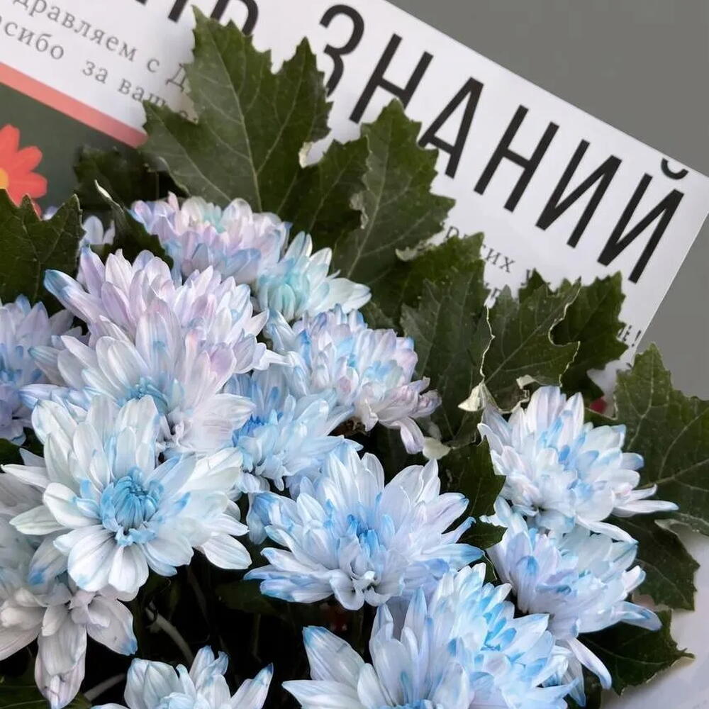 1 СЕНТЯБРЯ 843 / хризантема, сезонная зелень
