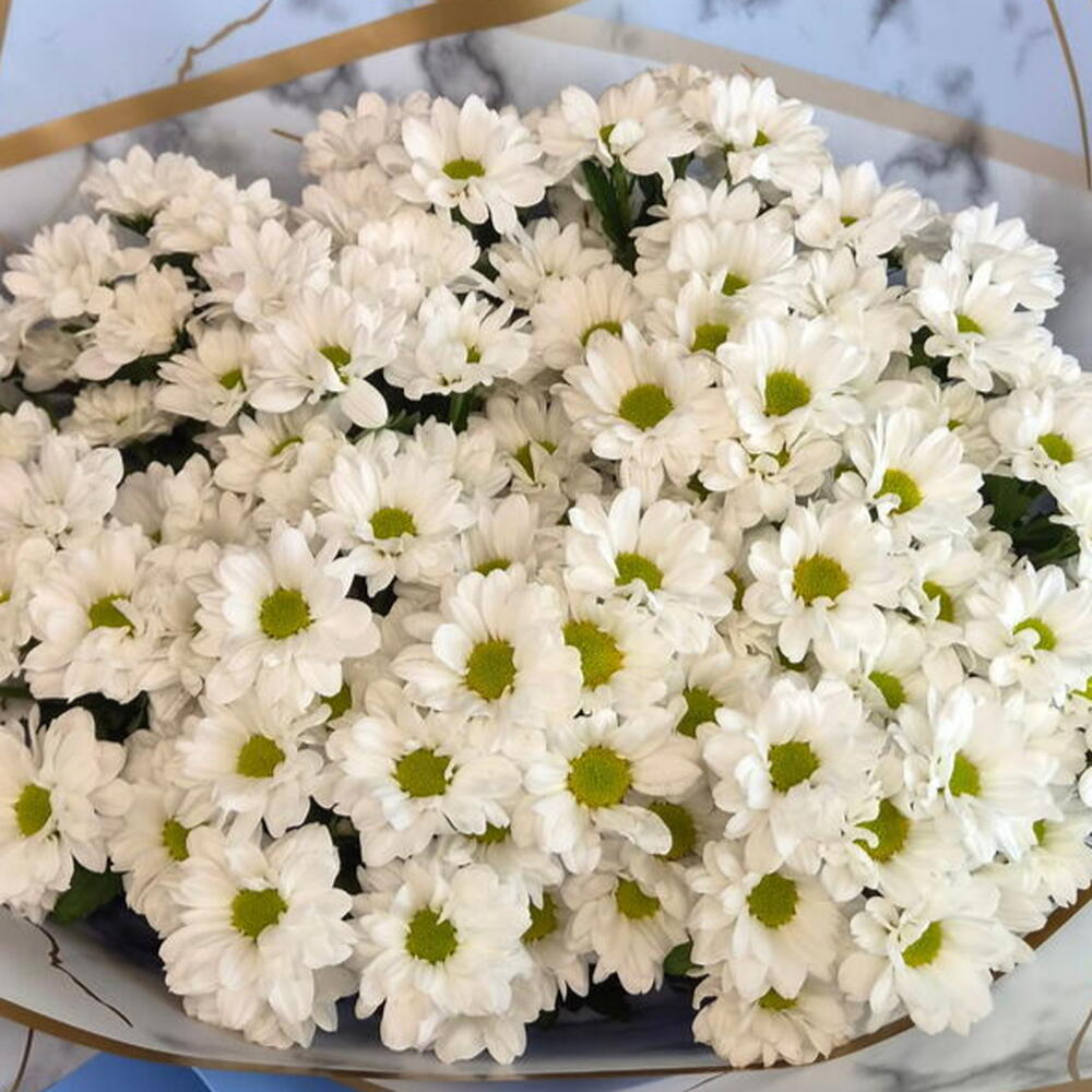 Пышный букет хризантем «Sky bloom»