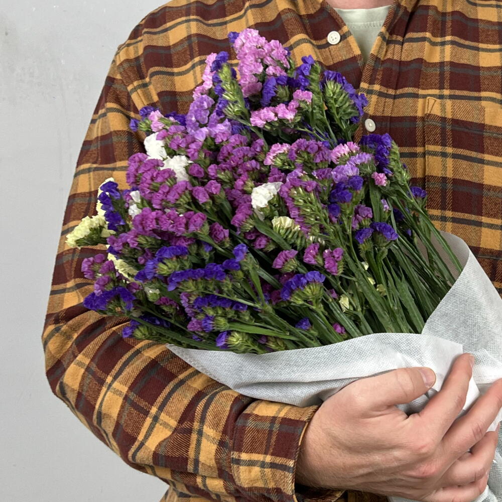 Пачка ( 10 шт ) статица микс