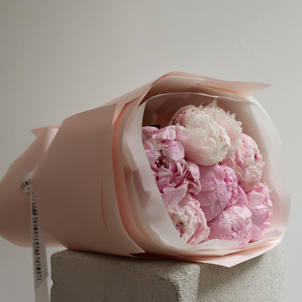 Peony breeze