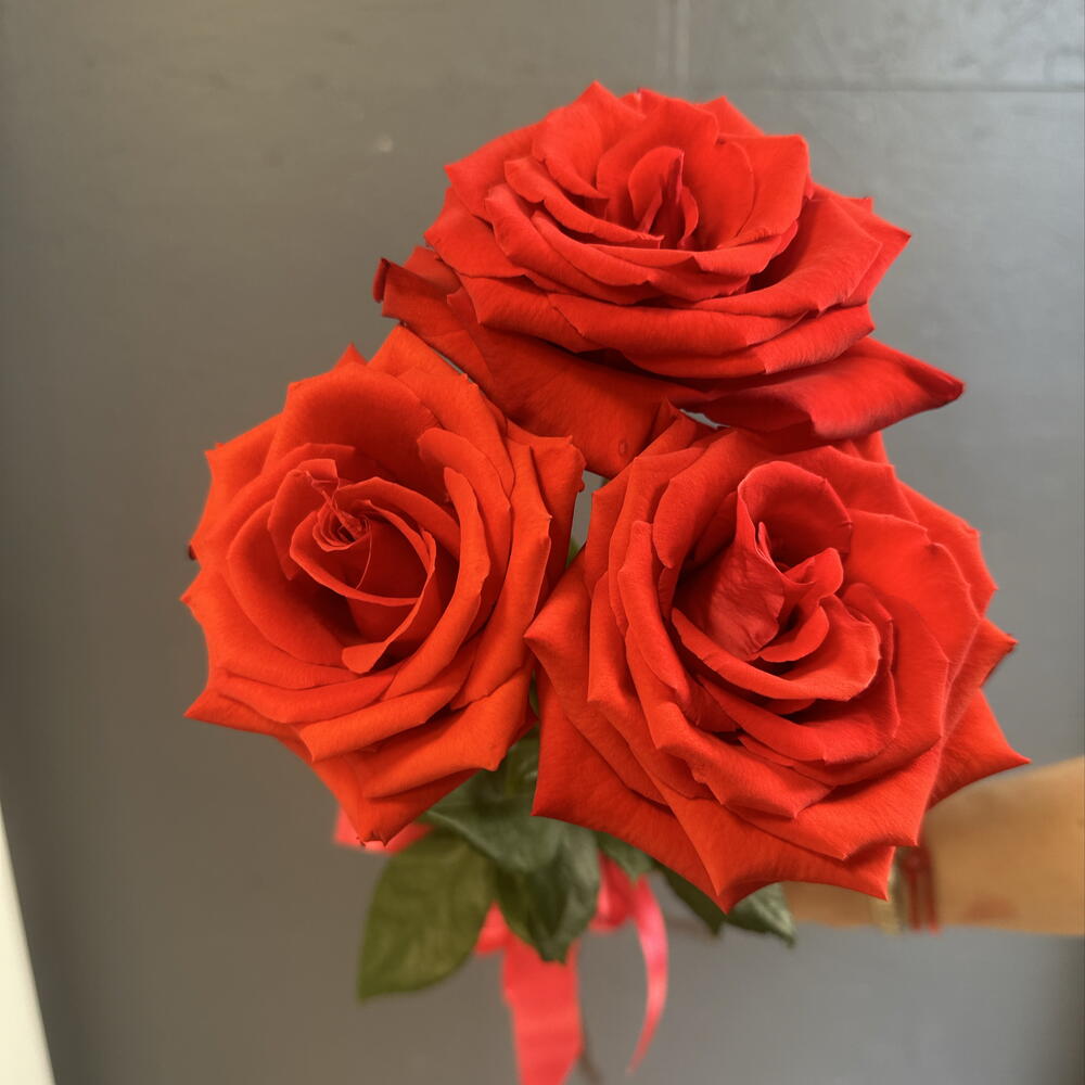 3 алые розы 🌹
