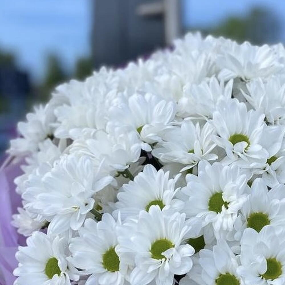 Букет хризантем