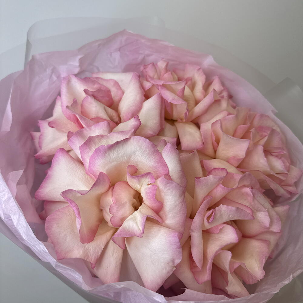 розовое облако 🌺bloom room