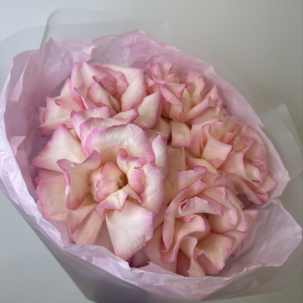 розовое облако 🌺bloom room