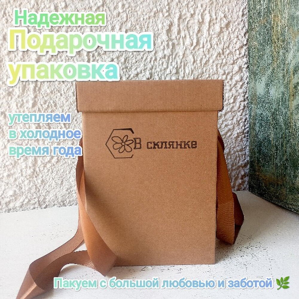 Бонсай Zelkova