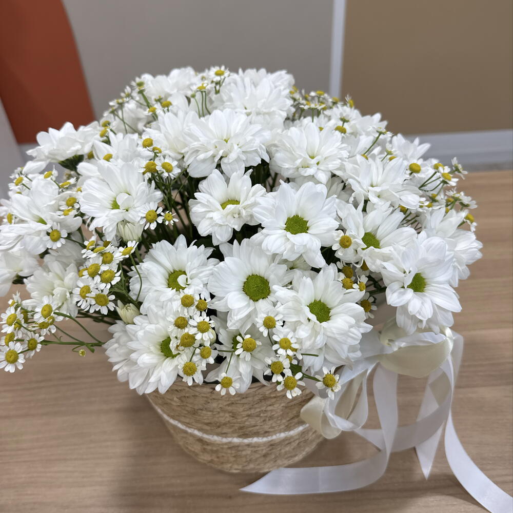 Ромашковое поле «композиция с ромашками»