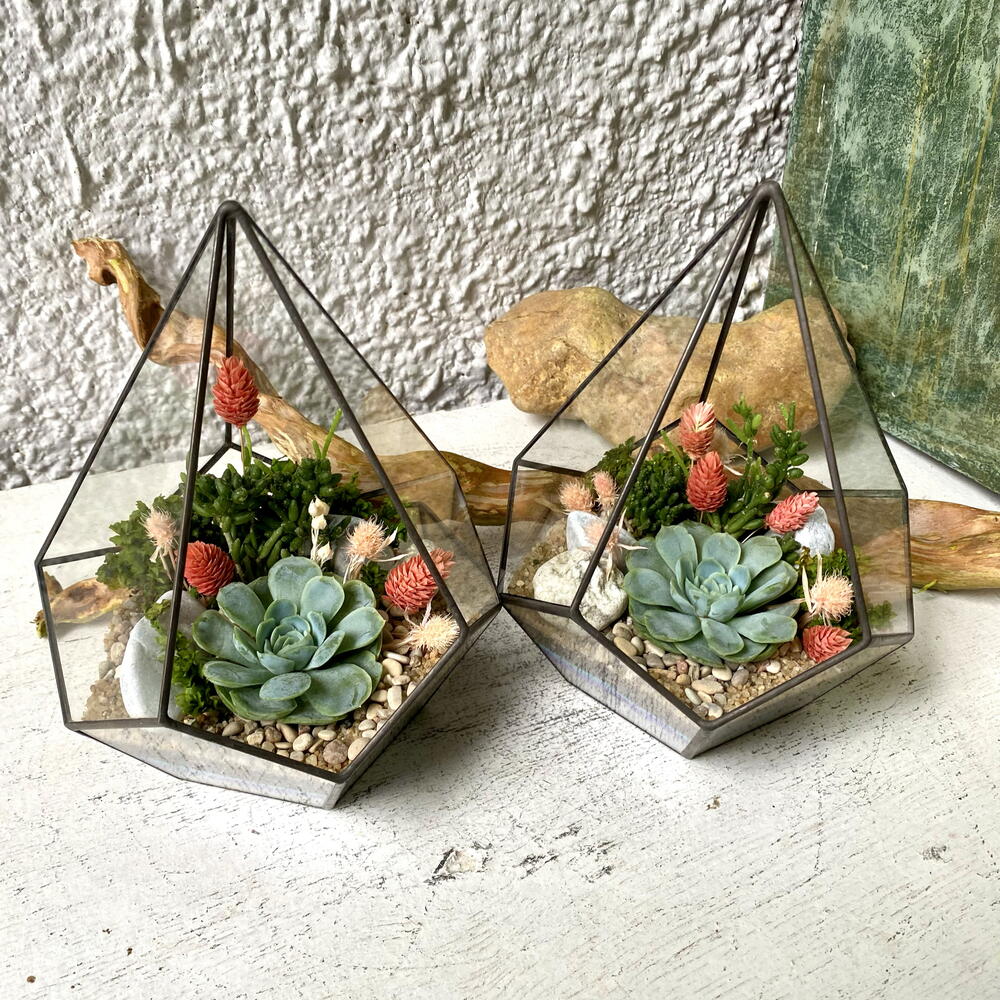 Florarium"Gota"