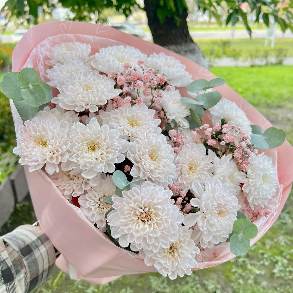 Фламинго