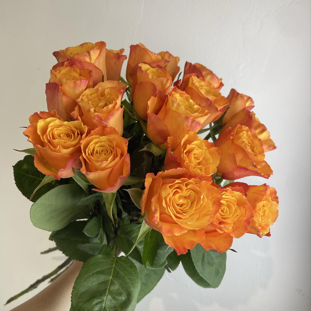 Розы рыжие 🧡19