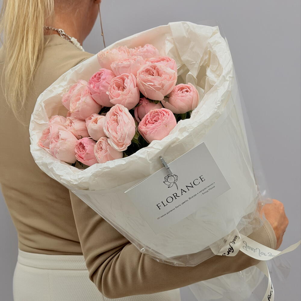Пион роза « Softness»