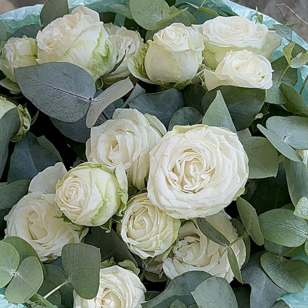 Bouquet 242
