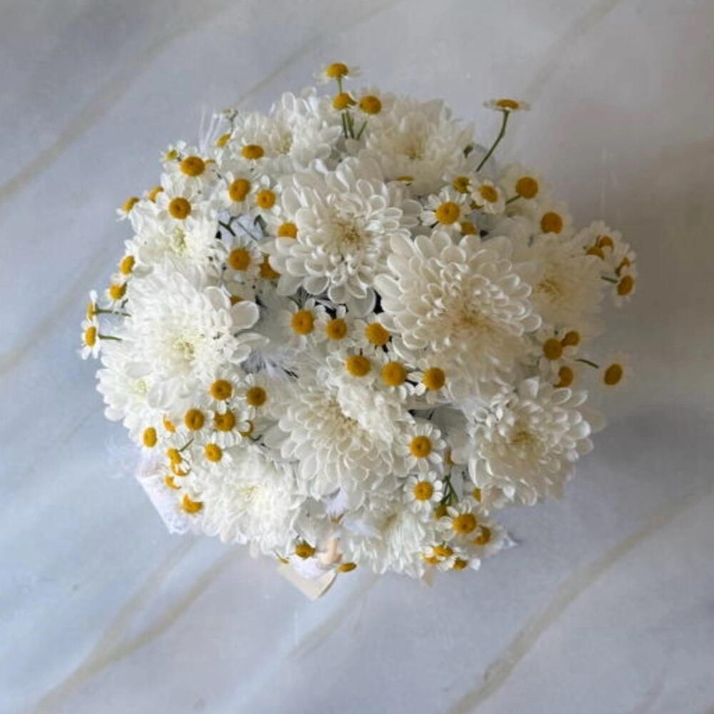 Лёгкость🤍🌼