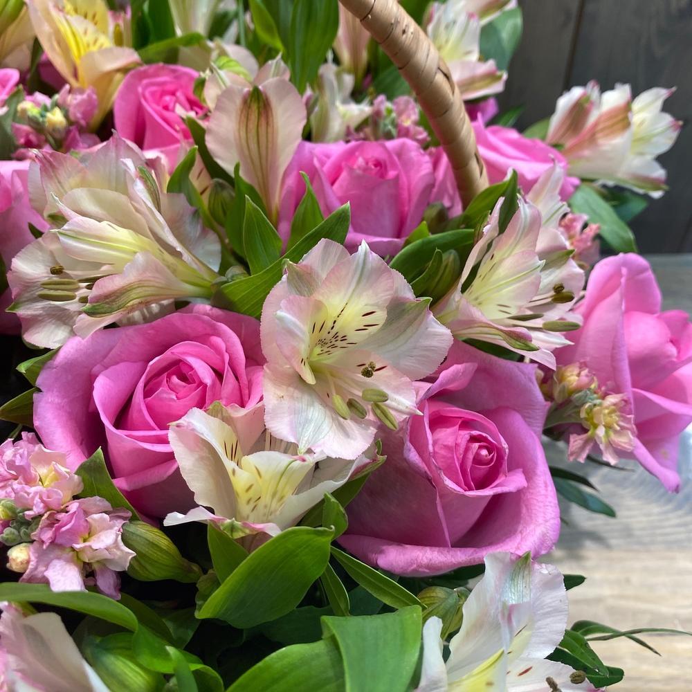 Алмазная мозаика цветы. Алмазная мозаика картины. Космея разноцветные воланы. Грация цветов. Грация цветов.