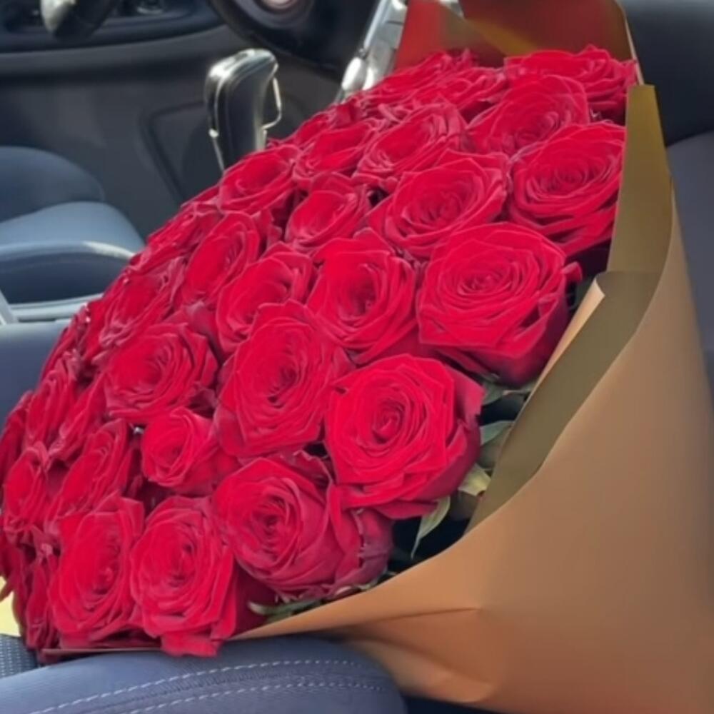Rose Explorer