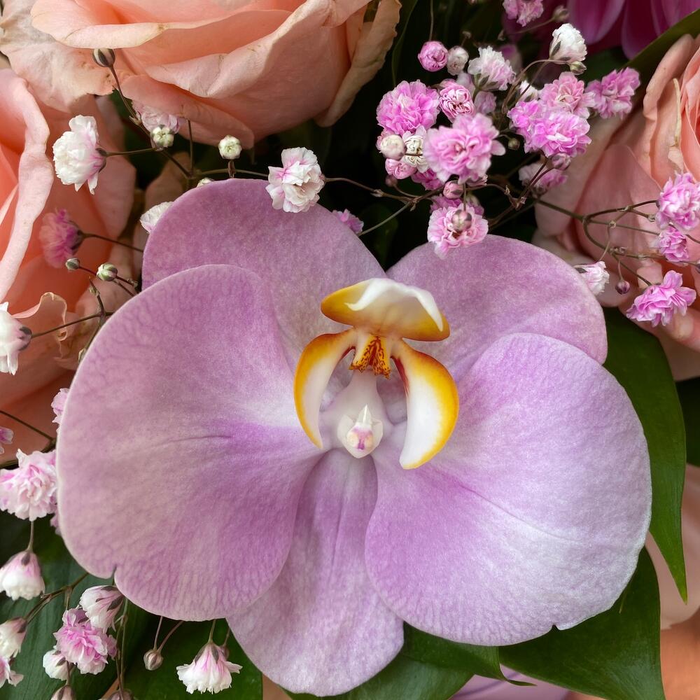 Нежность  🌸