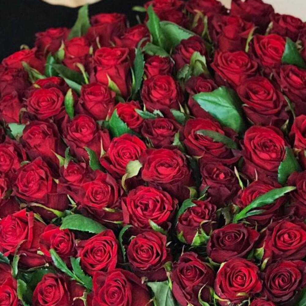 Вместо 1000 слов😍🌹
