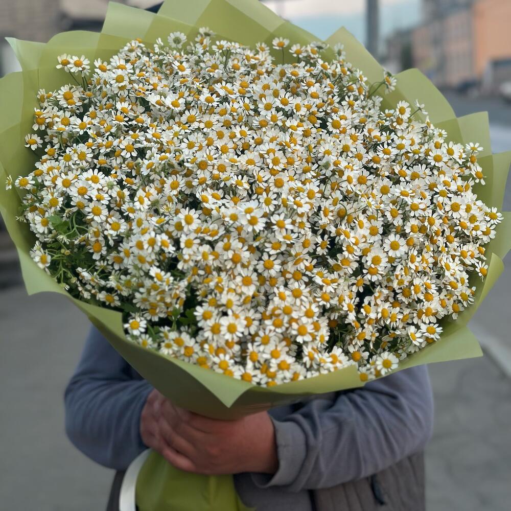 Ромашки