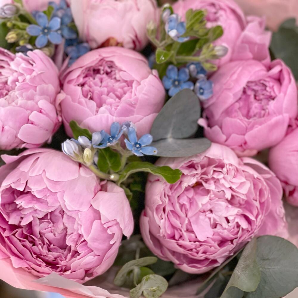 Пионы и незабудки, Цветы и подарки в Калуге, купить по цене 6750 RUB ...