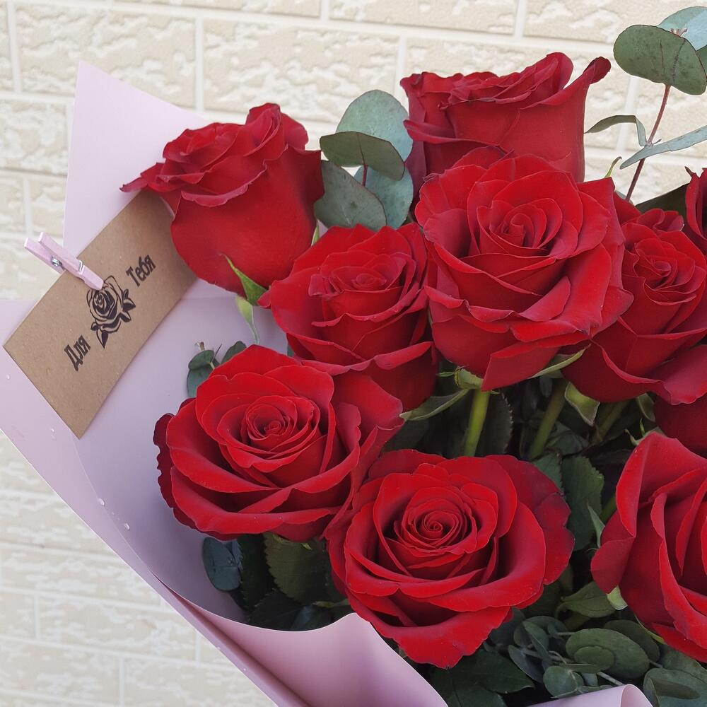 Гармония