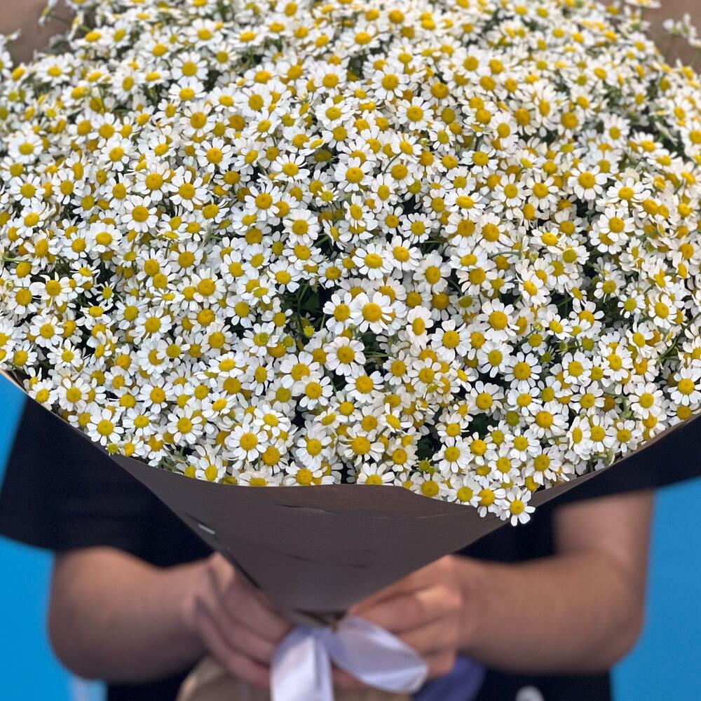 Букет из 51 ромашек