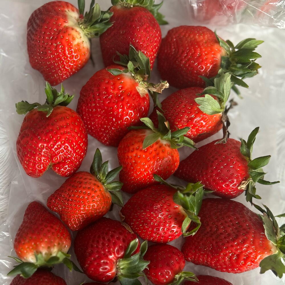 Клубника 🍓 в шоколаде. Набор 10штук