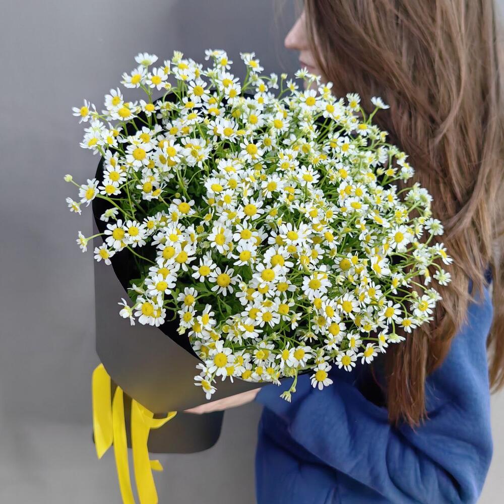 Букет из 13 ромашек (арт.2505)