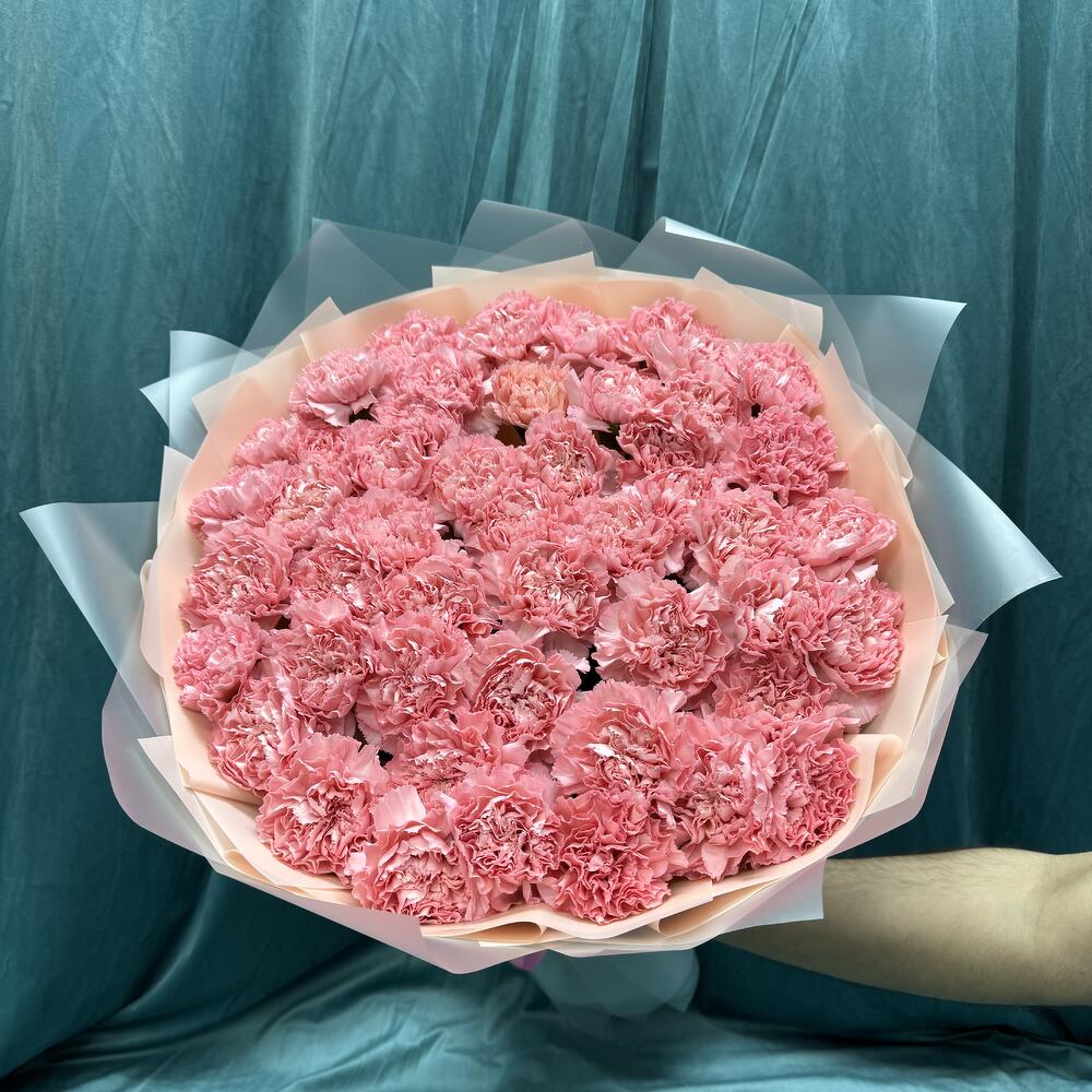 Нежные диантусы