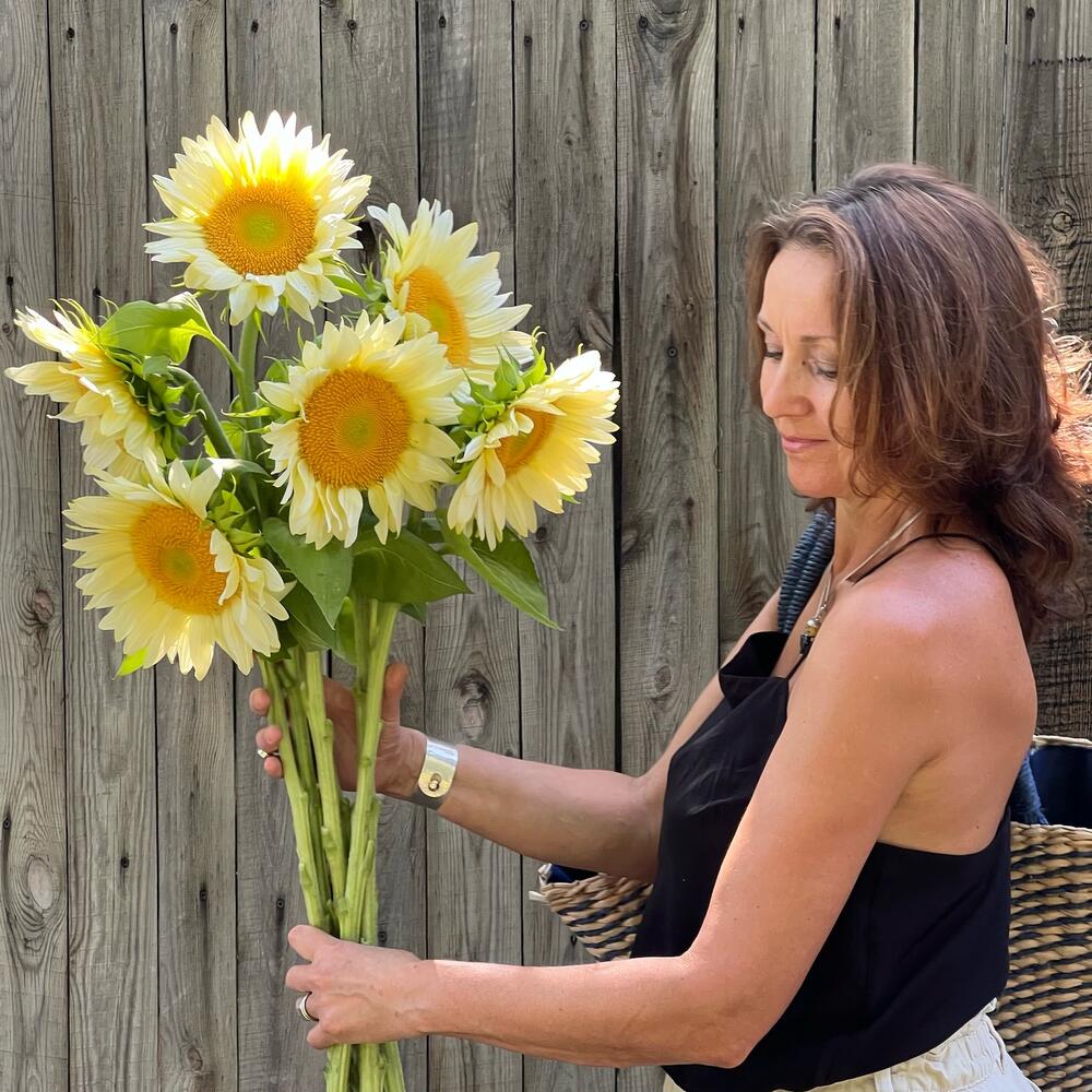 🌻Гелиантус подсолнух цветы подарок женщине, любимой девушке, жене, маме