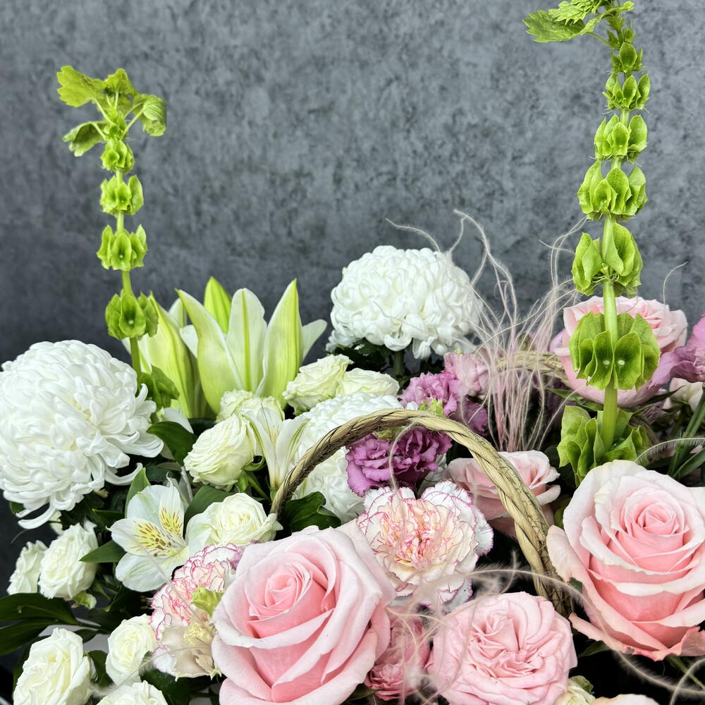 BlancRose