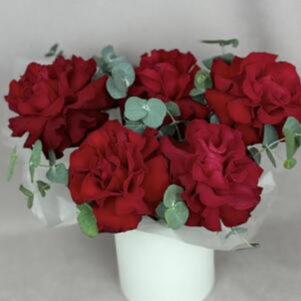 5 французских красных роз в шляпной коробке🌹