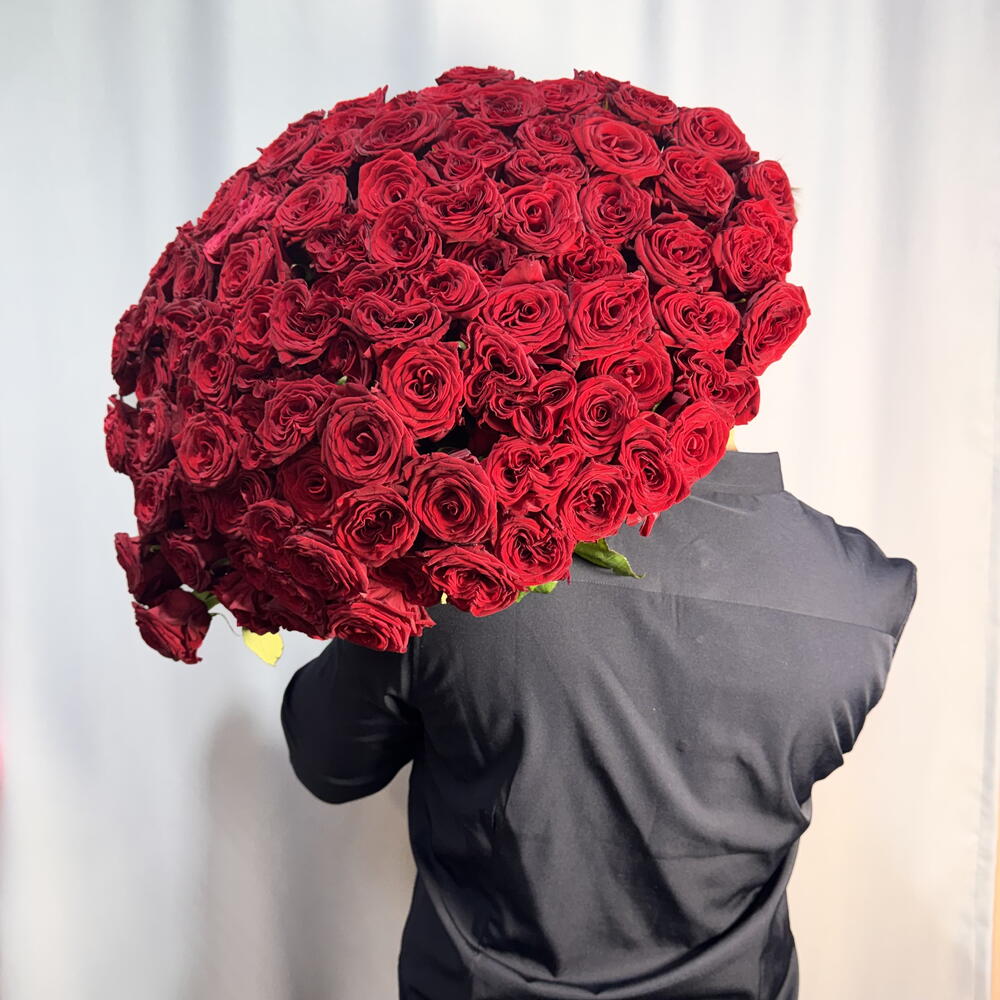 101 красная Роза  🌹 ♥️