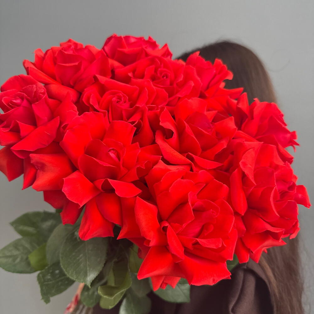 Роза Французская Нина