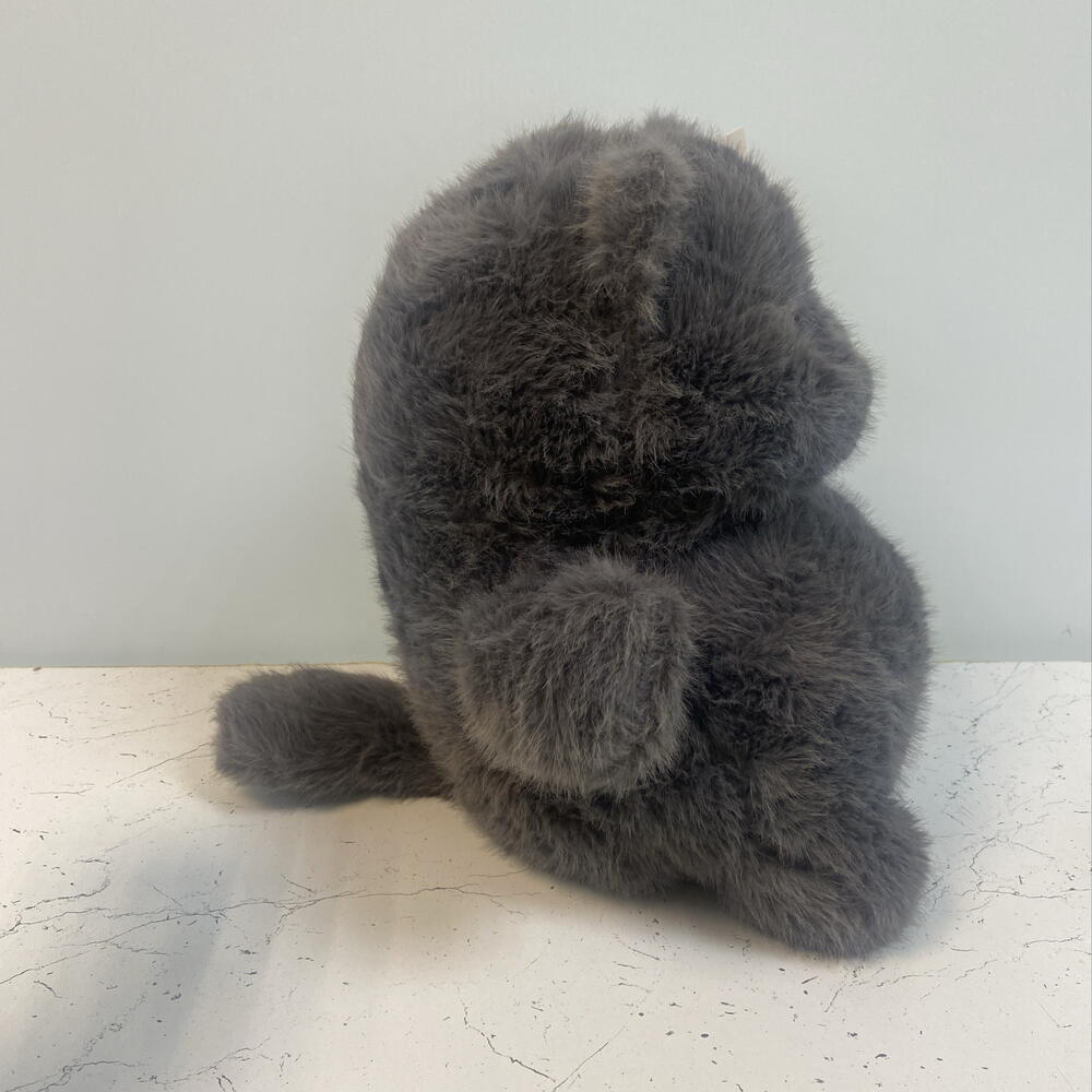 Кот