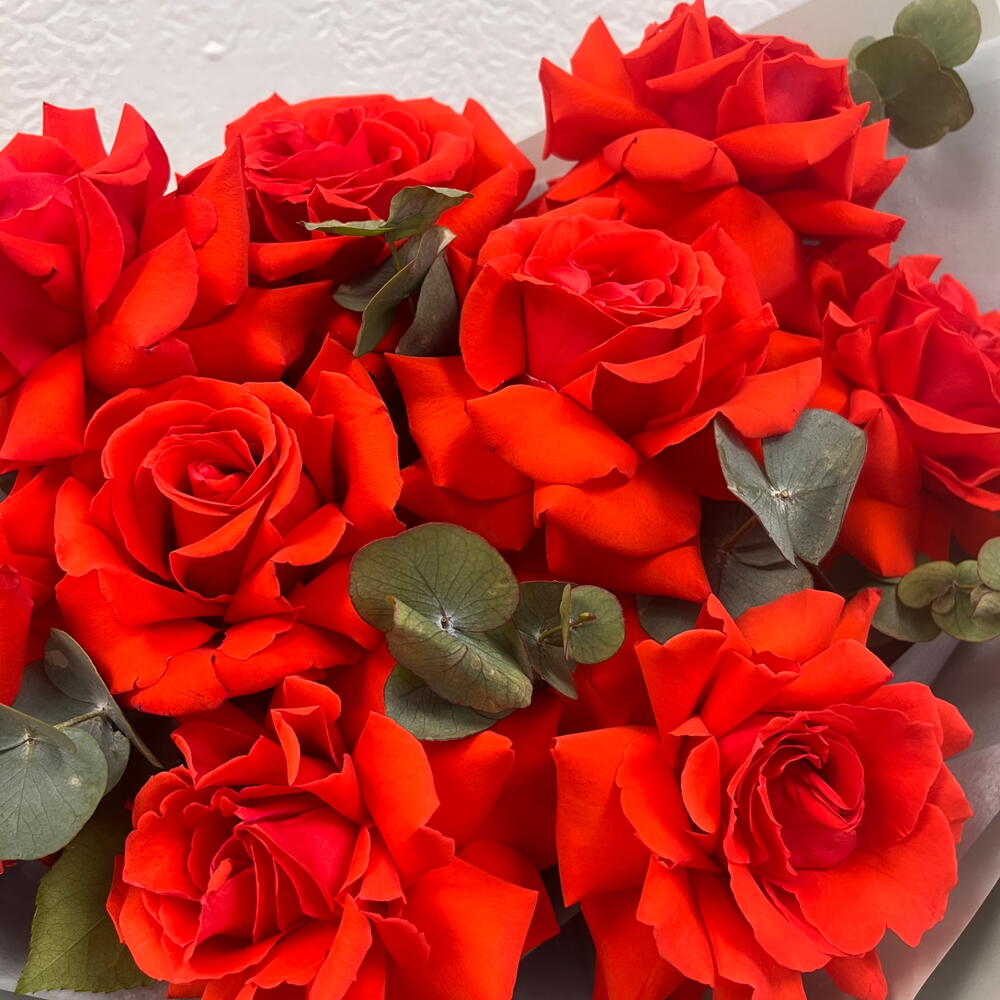 Стойкие розы Нина️🌹️