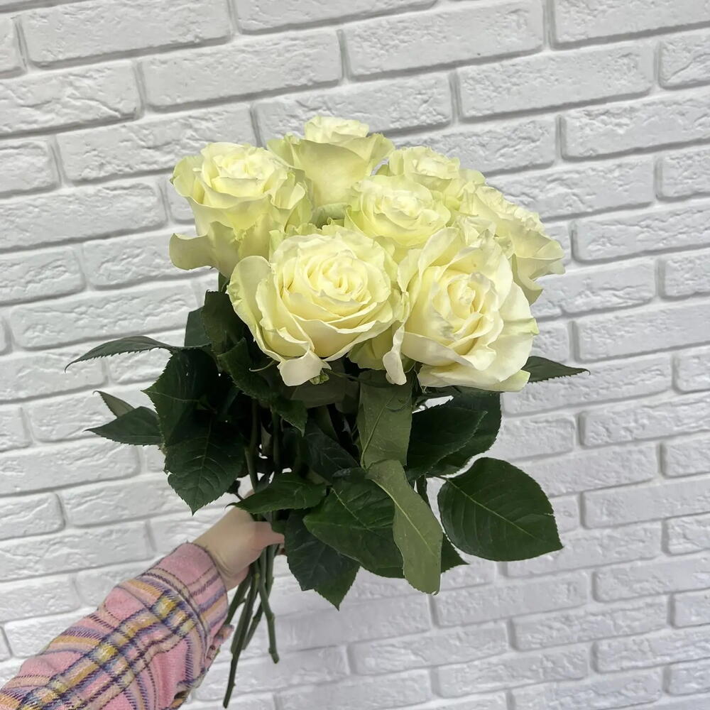 Букет из 7 белых роз