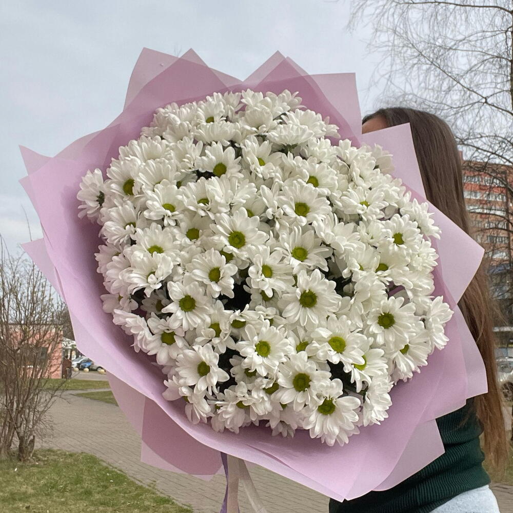 ~151 ромашка