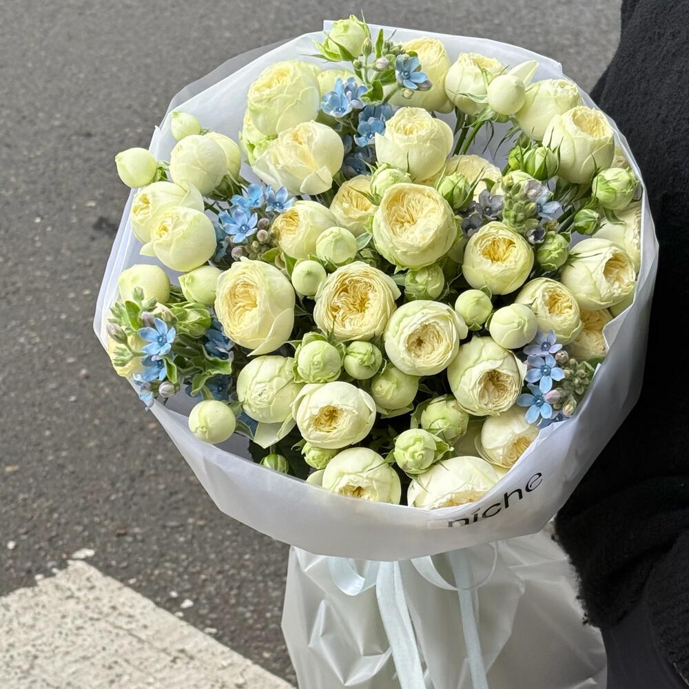 Roses with oxypetalum