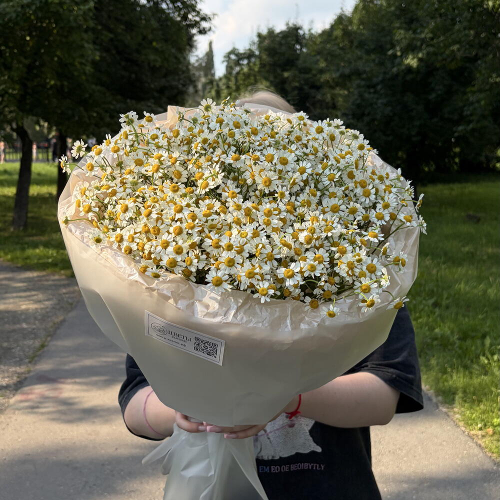 Букет поле ромашек