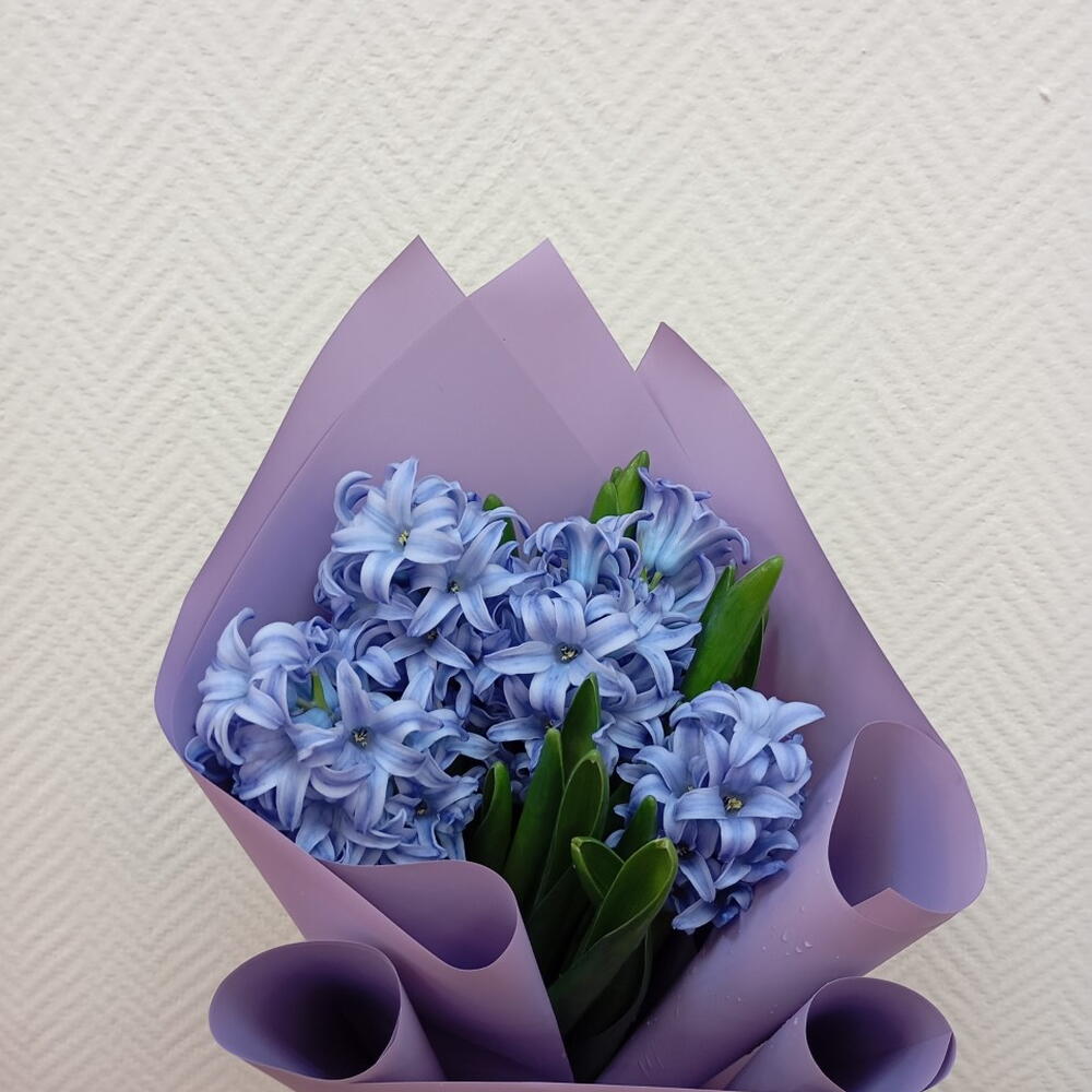 Букет из 5 Гиацинтов  🌸🌸🌸