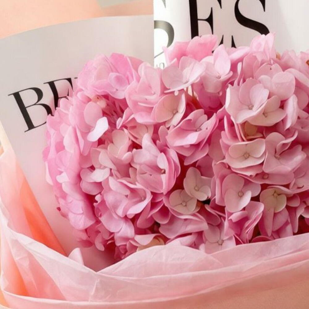 Розовая гортензия💗💗💗
