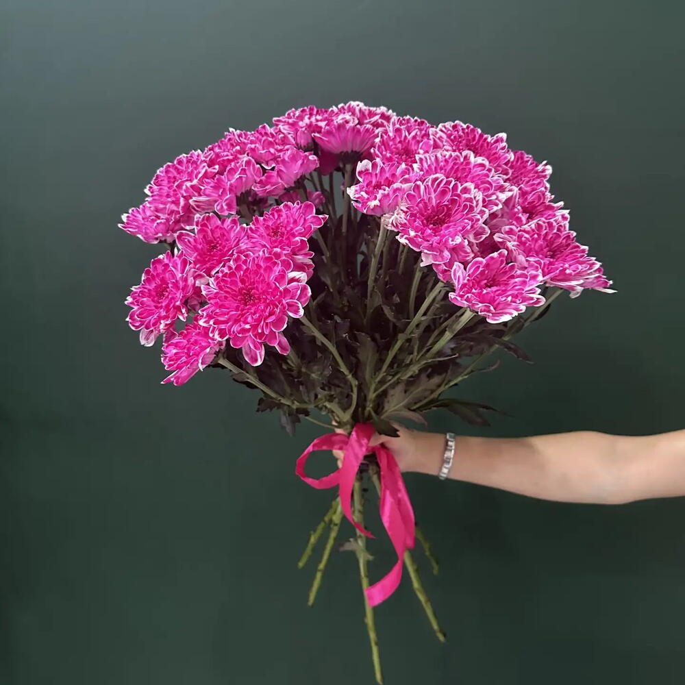 5 хризантем под ленту💐